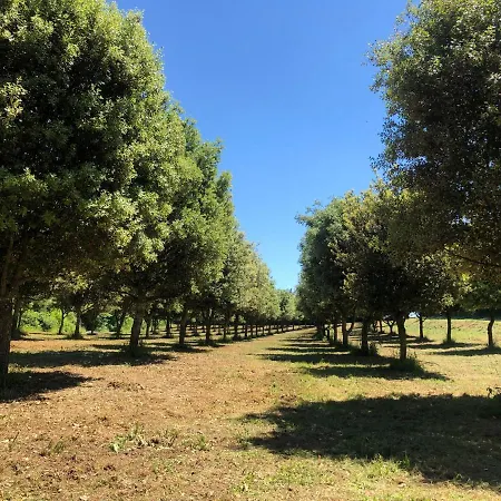 Hébergement de vacances Château Des Loups - Les Cyprès